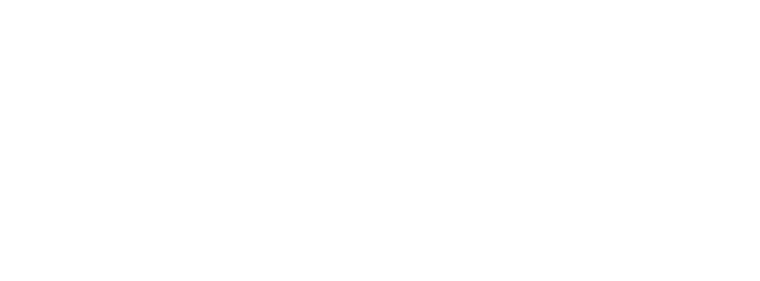 white logo Praxxeum large